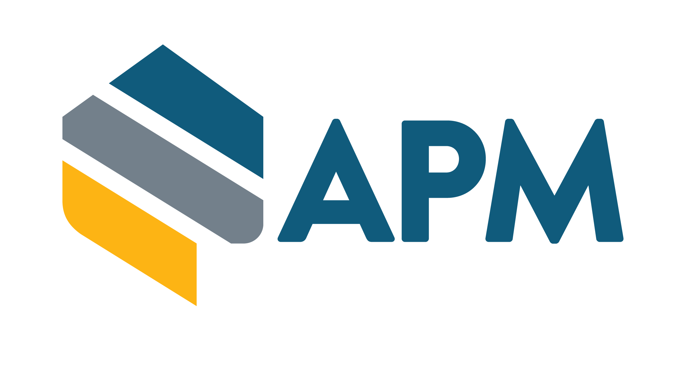 APM 2018 Logo APM