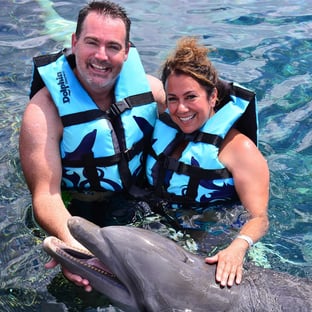 Dolphin