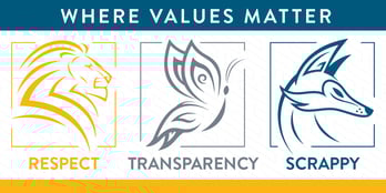 APM Core Values