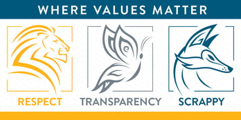 APM Core Values