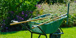 Gardening maintenance tools