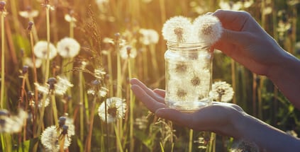 preserve summer memories
