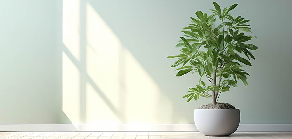 LinkLoan_AdobeStock_612730843_v2
